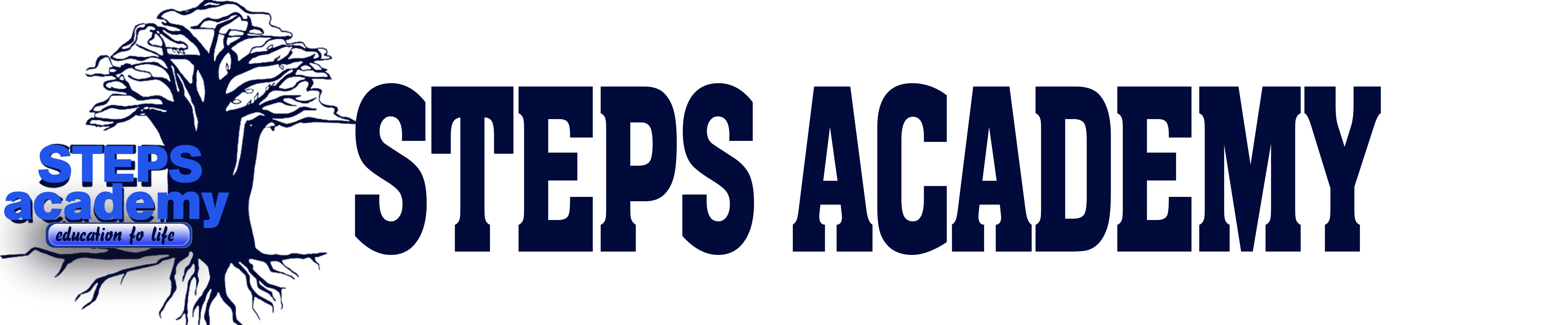 STEPS ACADEMY