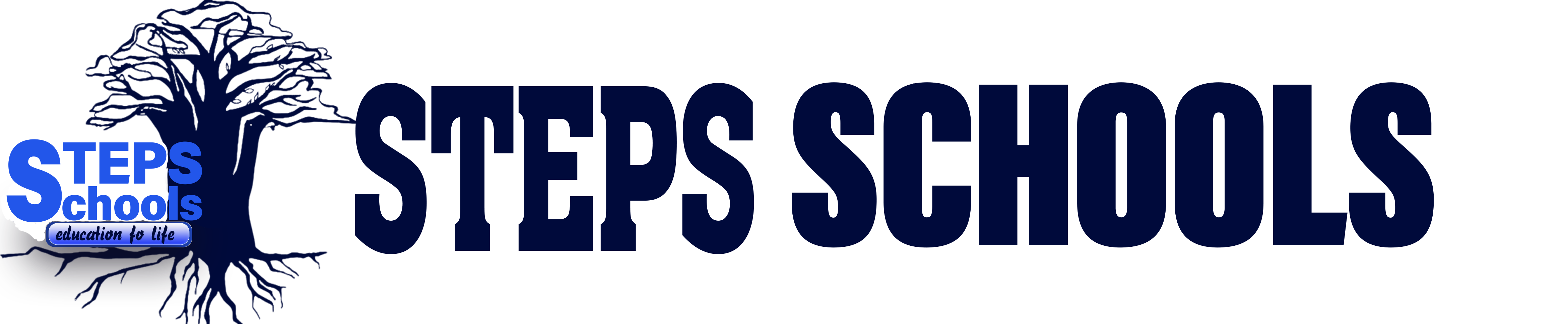 STEPS ACADEMY